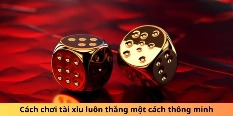 Cách chơi tài xỉu luôn thắng qua lịch sử cược